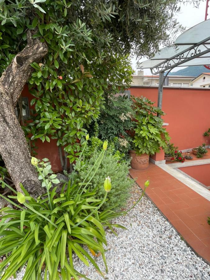 Apartamento In Versilia Seravezza Exterior foto